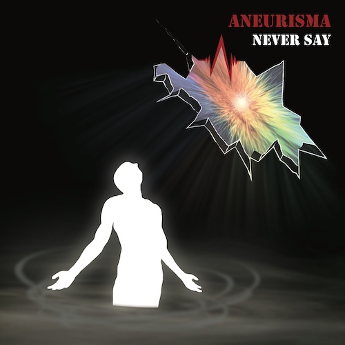 cover_never_say